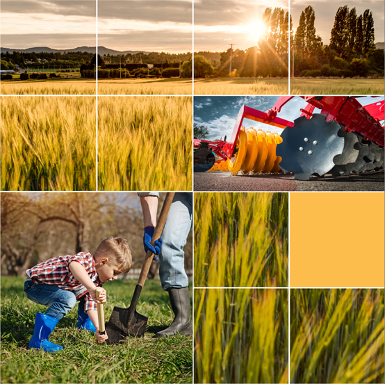 Preview image of Agricultural Activities Near Pipelines cover