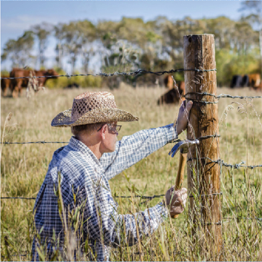 Farmer in field repairing barb wire on fence post