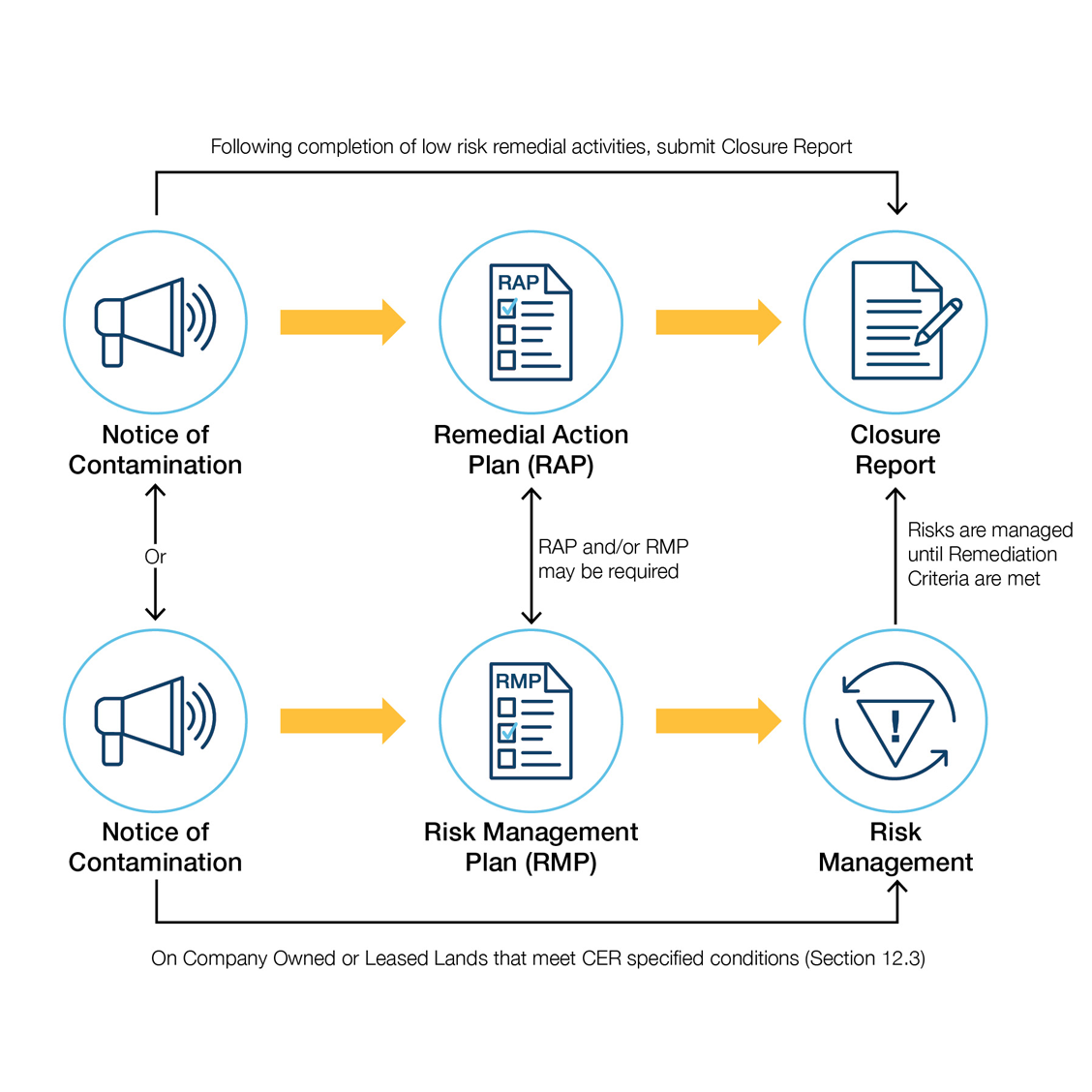 Figure 1: A designed flowchart that shows the remediation process.