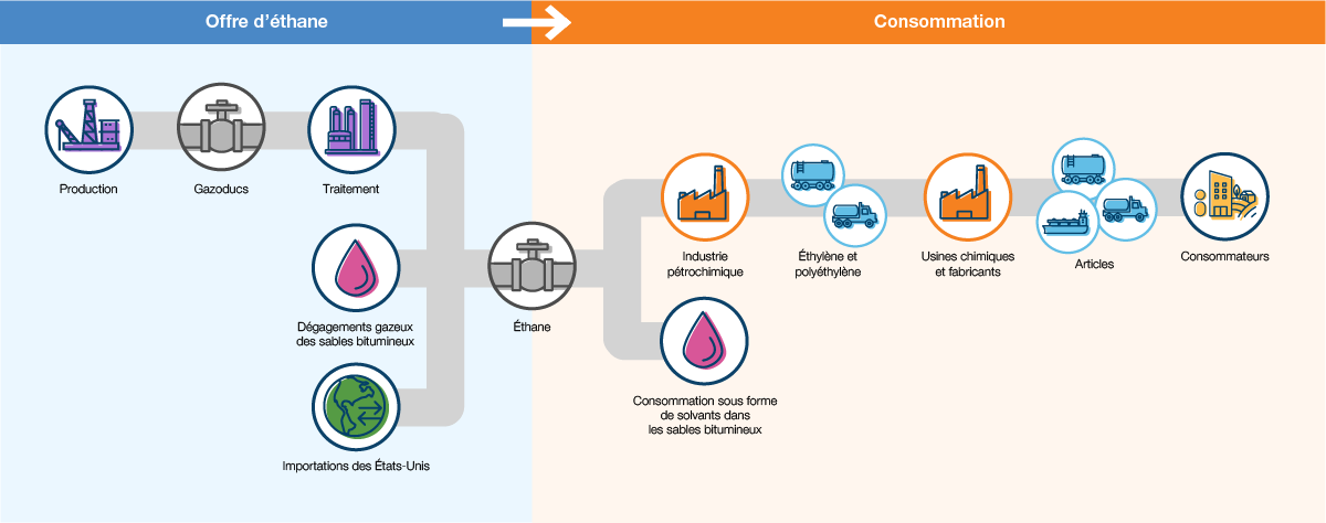 Cette figure illustre le cycle de transformation de l’éthane des sources d’approvisionnement jusqu’aux consommateurs.
	Offre d’éthane : Production, gazoducs, traitement, dégagements gazeux des sables bitumineux, importations des États-Unis
	Consommation : Industrie pétrochimique, consommation sous forme de solvants dans les sables bitumineux, éthylène et polyéthylène, usines chimiques et fabricants, articles, consommateurs